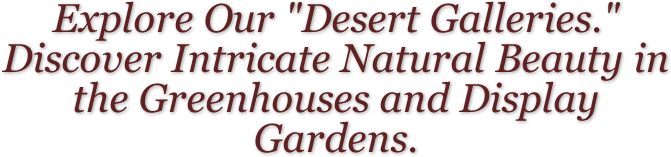 Explore Our Desert Galleries. Discover Intricate Natural Beauty in the Greenhouses and Display Gardens.
